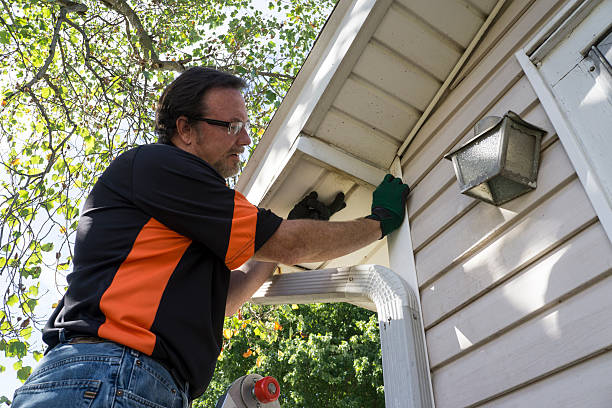 Best Aluminum Siding Installation  in Myrtle Grove, FL